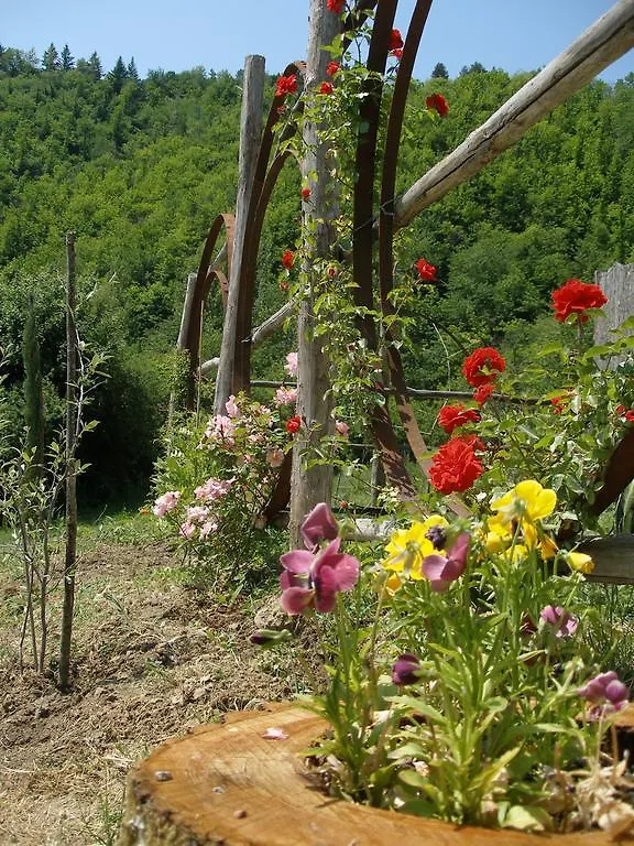 Agriturismo Podere Fiume Villa Pratovecchio Farm stay