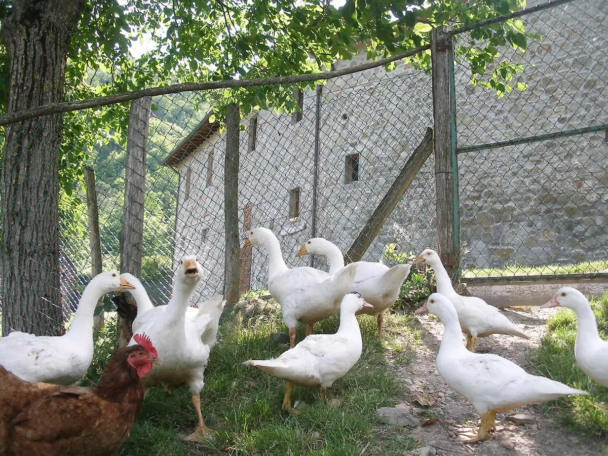 Agriturismo Podere Fiume Villa Pratovecchio