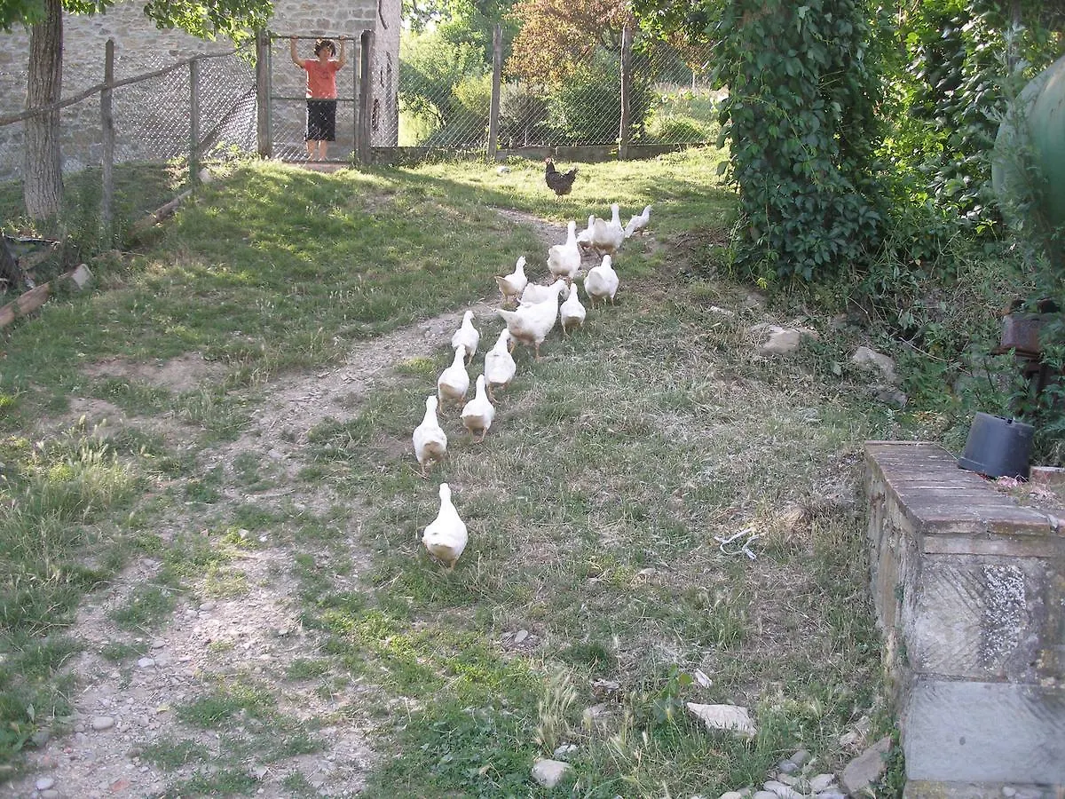 Agriturismo Podere Fiume Villa Pratovecchio Italy